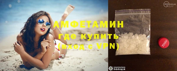 индика Балабаново