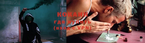 индика Балабаново